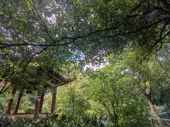 -昆明市金殿名胜区