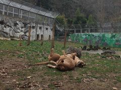 -黔灵山公园