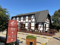 -金山农民画村-枫泾波兰倒置屋