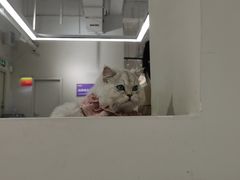 -怪兽屋·羊驼·猫咖·狗咖(俊华广场店)