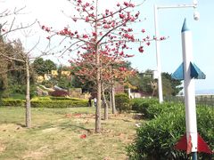 -大嶝英雄三岛战地观光园