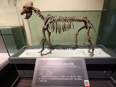 -大庆市博物馆