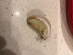 -肯德基(北京南站店)