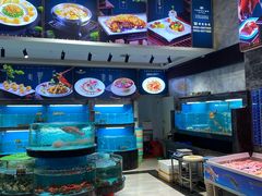 -万禧明珠大酒楼(海丰店)