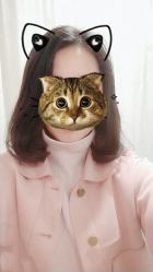 -镁连社·美联社