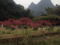 -桂林两江四湖景区