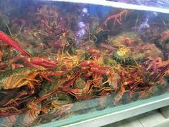 -盒马鲜生(大成店)