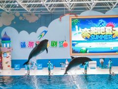 -蓬莱欧乐堡海洋极地世界