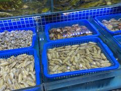 水产区-必点海鲜·鲅鱼水饺(鞍山西道店)