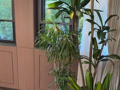 -七欣天香辣蟹火锅(苏州东大街店)