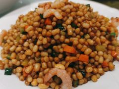 虾仁炒疙瘩-紫光园·烤鸭(吕家营店)