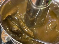 葡式咖喱崩沙牛腩-番茄屋葡式美食(总店)