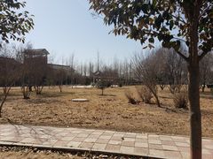 -赵州桥景区