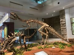 -自贡恐龙博物馆