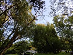 -上海共青森林公园