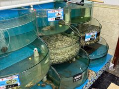 -叶存利海鲜大馅饺子(海宁路总店)