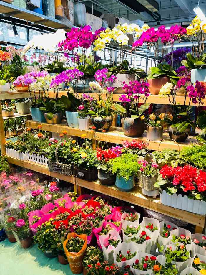 蟹岛国际花卉-"蟹岛里新开业的花卉市场,里面很宽敞,环境.