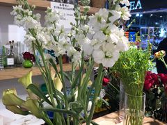 -谷莠子花艺气球派对·绿植造景·花艺沙龙(东海缤纷天地店)