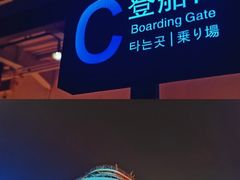 -武汉知音号