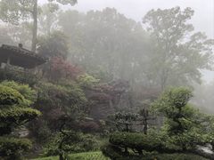-南山植物园