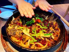 -老板恋上鱼(恒隆广场店)