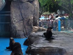 -海合安成都极地海洋公园