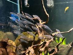 -太平洋海底世界