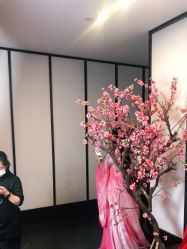 -盘子女人坊生日照·摄影馆(浦东店)