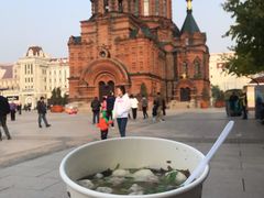 -手劲鱼丸馄饨铺(哈一百店)