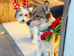 -集雅GATHERING咖啡(武康路店)