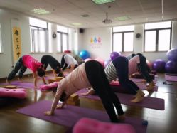 -爱尔乐美孕产瑜伽·普拉提