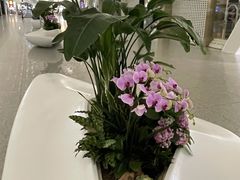 -南航明珠v2头等舱公务舱休息室