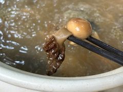 -蘑统田下·野生菌火锅