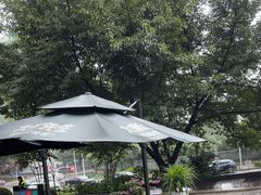 -大米先生(光电园店)