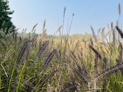 -汉长安城未央宫国家考古遗址公园