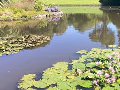 -墨尔本皇家植物园