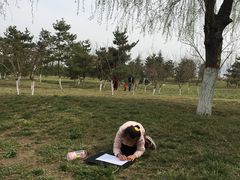 -洨河生态公园