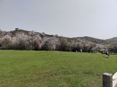 -中华福寿山