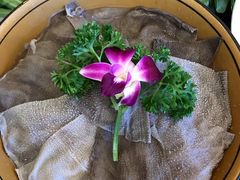 鲜毛肚-大厨房火锅