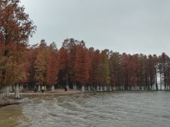 -四明湖