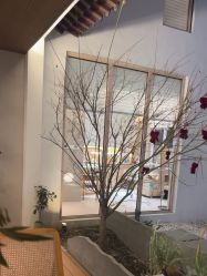 -AGE LOCK 锁龄美肌