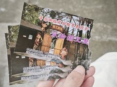 -千岛湖东南湖区