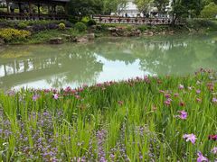 -黄公望隐居地