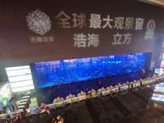 -成都浩海立方海洋公园