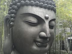 -古茗(义蓬购物中心店)