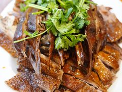 -日日香卤鹅饭店·澄海狮头鹅(澄海店)