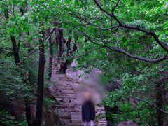 -大岭沟猕猴桃谷风景区