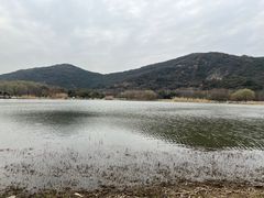 -长广溪湿地公园