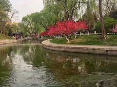 -万柳阁小馆·花园餐厅(龙潭湖店)