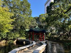 -九龙公园